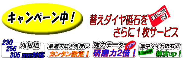 N-特長ロゴ